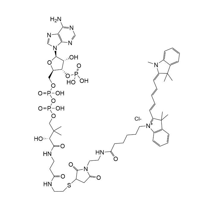 CoA-Cy5