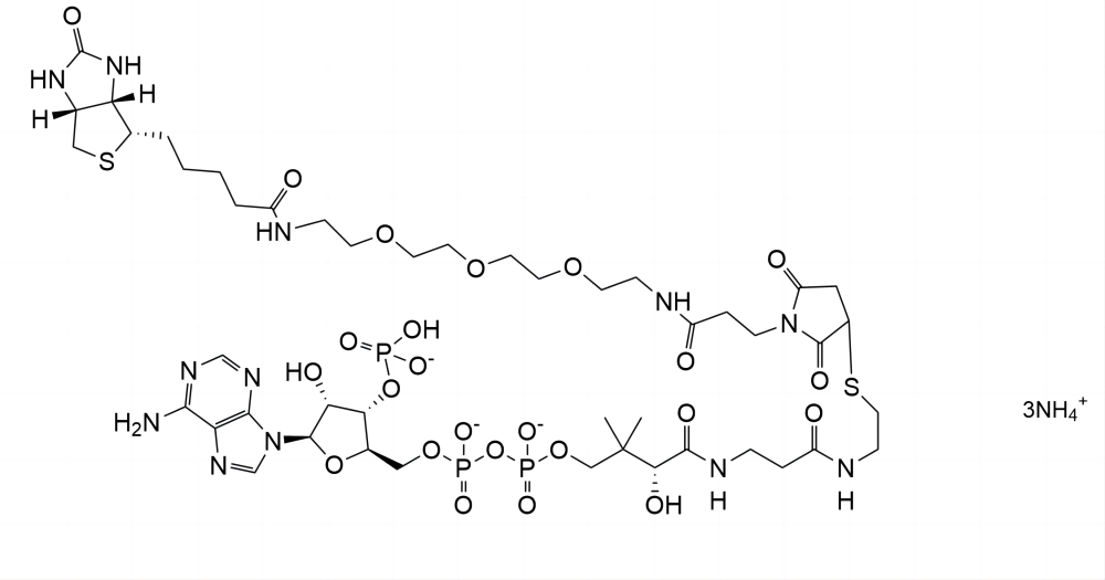 Biotin-PEG3-CoenzymeA SC-8618