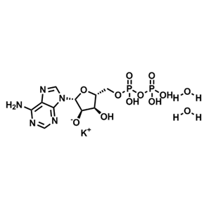 腺苷5-二磷酸钾二水合物,Potassium (2R,3R,4S,5R)-2-(6-amino-9H-purin-9-yl)-4-hydroxy-5-(((hydroxy(phosphonooxy)phosphoryl)oxy)methyl)tetrahydrofuran-3-olate dihydrate