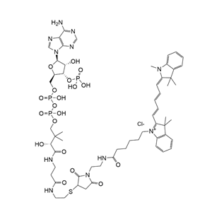 CoA-Cy5 / SiChem / SC-1144
