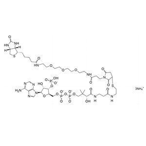 Biotin-PEG3-CoenzymeA SC-8618 / SiChem
