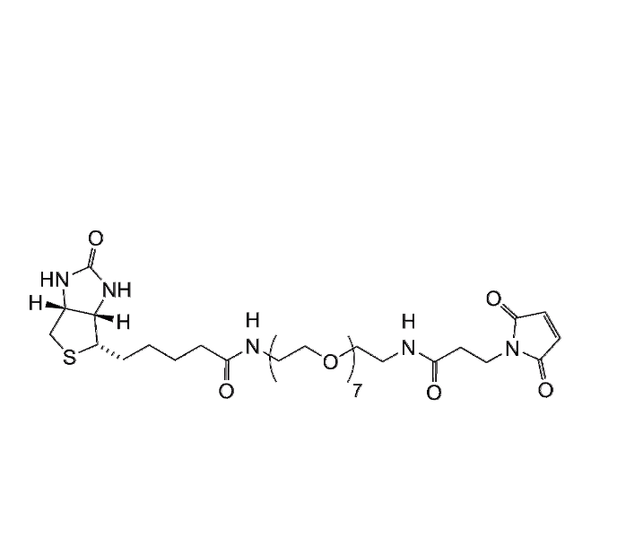 Biotin-PEG7-Maleimide