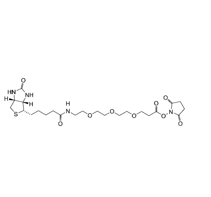 Biotin-PEG3-NHS