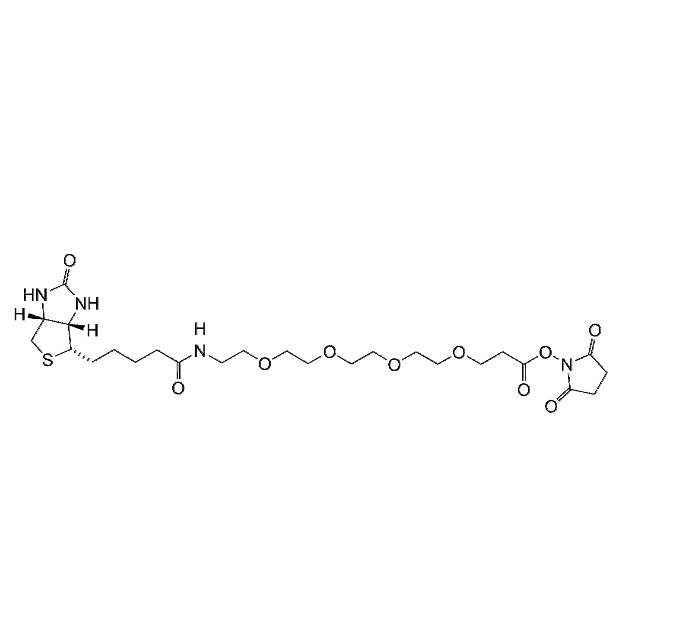 Biotin-PEG4-NHS