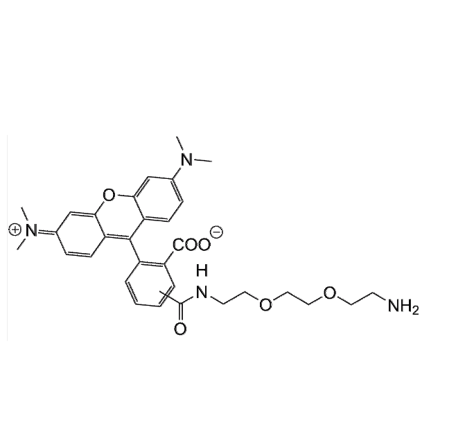 TAMRA-PEG2-NH2