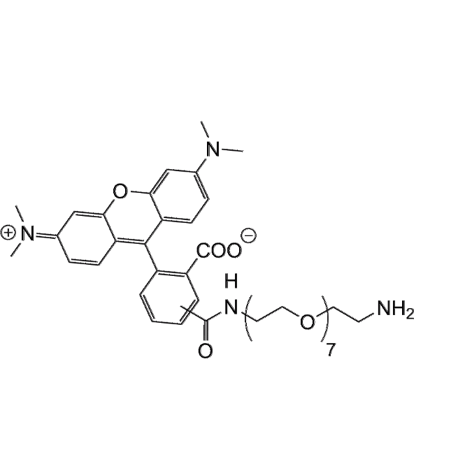 TAMRA-PEG7-NH2