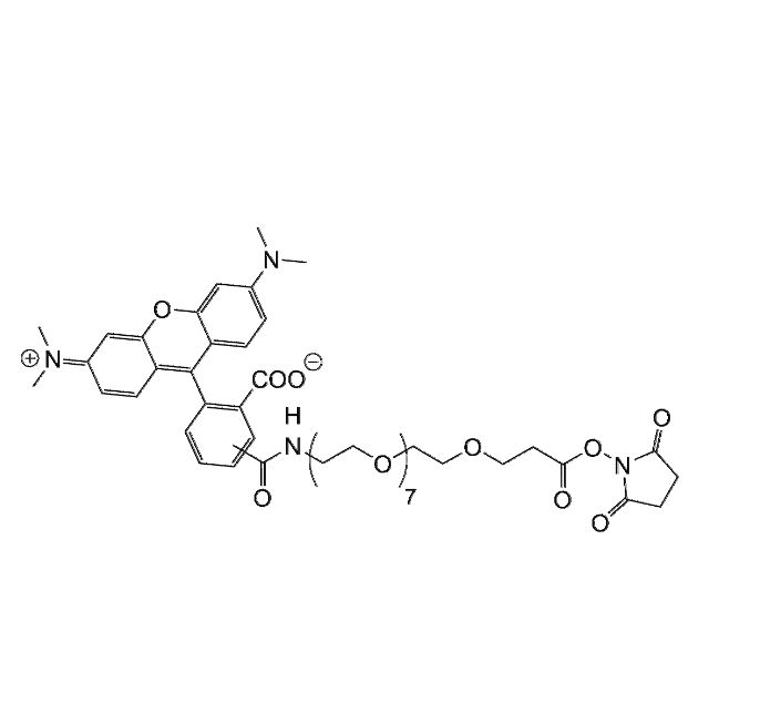 TAMRA-PEG8-NHS