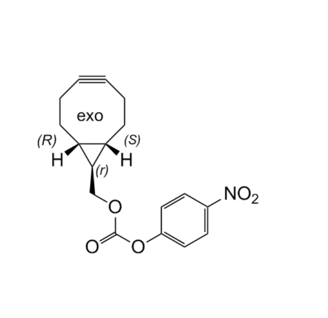 exo BCN - active ester (p-NPE)