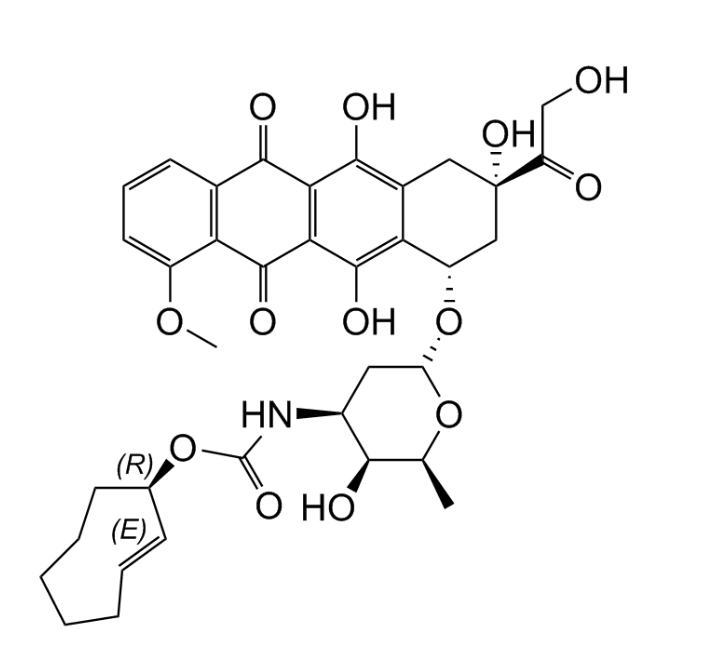 (E)-cyclooctene doxorubicin conjugate / equatorial