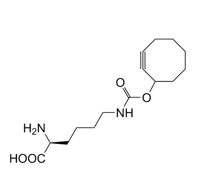 Click Amino Acid (95%) / SCO - L - Lysine - HCO2H-salt