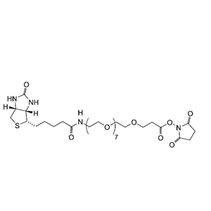 Biotin-PEG8-NHS