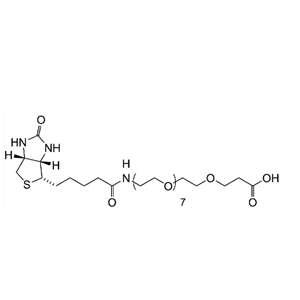 Biotin-PEG8-COOH