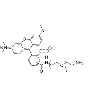 TAMRA-PEG7-NH2