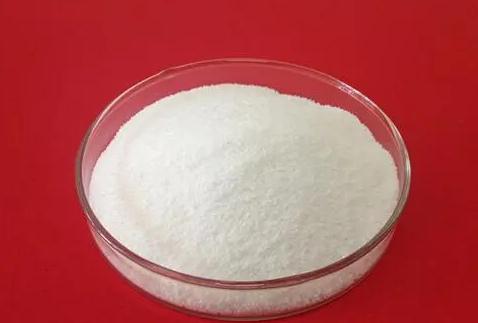 乙酰-L-肉碱盐酸盐,Acetyl L-carnitine HCL