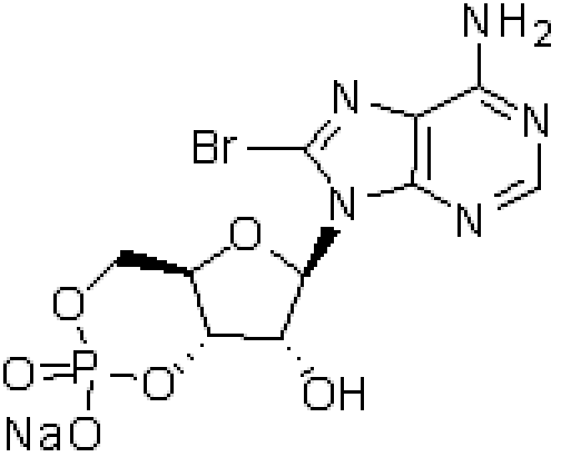 8-溴腺苷-3',5'-环单磷酸钠,8-BROMOADENOSINE-3',5'-CYCLIC MONOPHOSPHATE SODIUM SALT