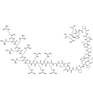 NFAT抑制剂,可渗透细胞/11R-VIVIT/592517-80-1