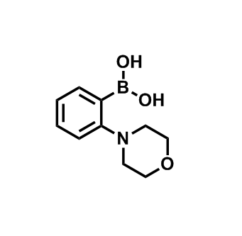 2-码啉苯硼酸,(2-Morpholinophenyl)boronic acid