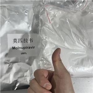 莫努匹韦/莫诺拉韦/莫那比拉韦,Molnupiravir