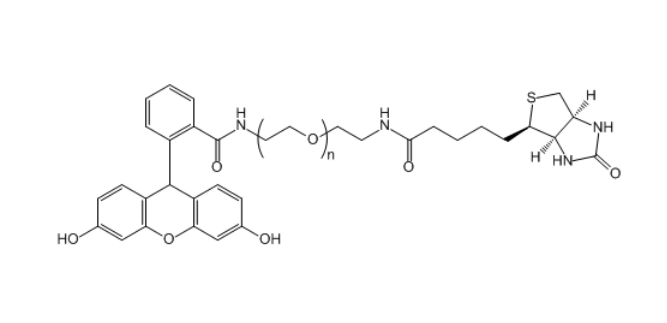 生物素-聚乙二醇-FAM,Biotin-PEG-FAM