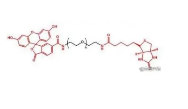 荧光素-聚乙二醇-生物素,FITC-PEG-Biotin
