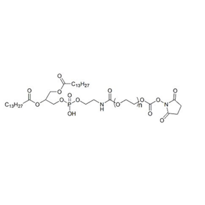 DMPE-PEG-SC 1,2-十四酰基磷脂酰乙醇胺-聚乙二醇-活性酯