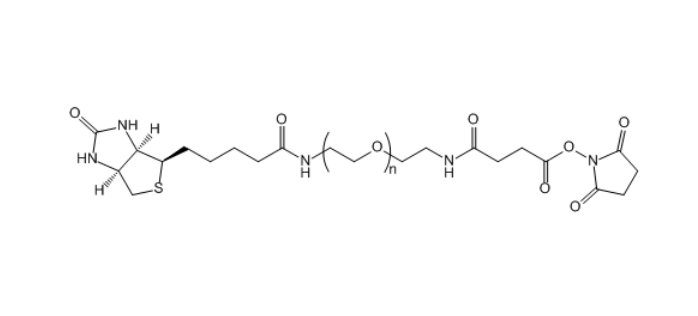 生物素-聚乙二醇-琥珀酰胺琥珀酰亚胺酯,Biotin-PEG-SAS