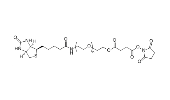 生物素-聚乙二醇-雙硫鍵,Biotin-PEG-SS