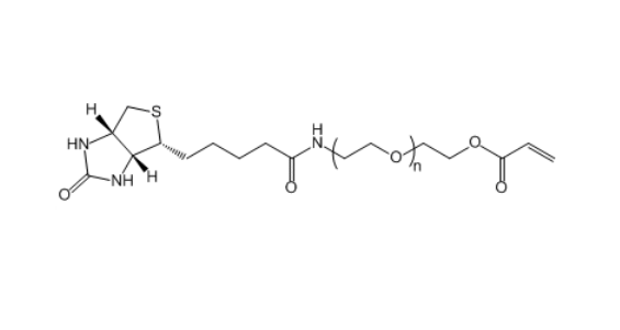 生物素-聚乙二醇-丙烯酸酯,Biotin-PEG-AC