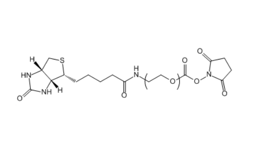 生物素-聚乙二醇-活性酯,Biotin-PEG-NHS