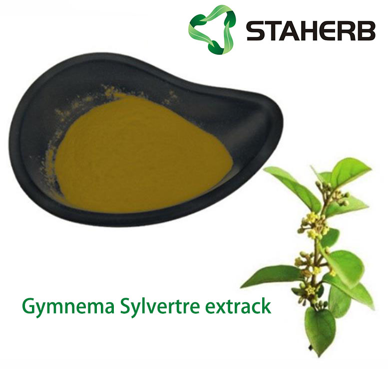 匙羹藤提取物,Gymnema sylvestre extract