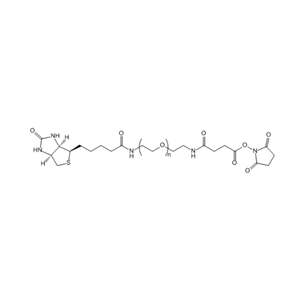 Biotin-PEG-SAS 生物素-聚乙二醇-琥珀酰胺琥珀酰亚胺酯