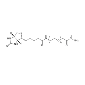 生物素-聚乙二醇-酰肼,Biotin-PEG-HZ