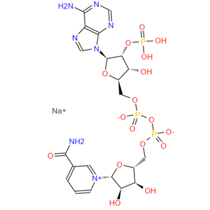 β-烟酰胺腺嘌呤二核苷酸磷酸钠盐