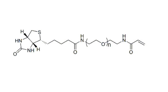 生物素-聚乙二醇-丙烯酰胺,Biotin-PEG-ACA
