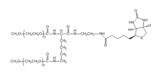 二臂/支 PEG 生物素,2-ArmPEG-Biotin