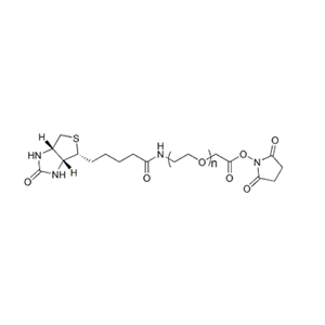 Biotin-PEG-SCM 生物素-聚乙二醇-琥珀酰亚胺羧甲基酯