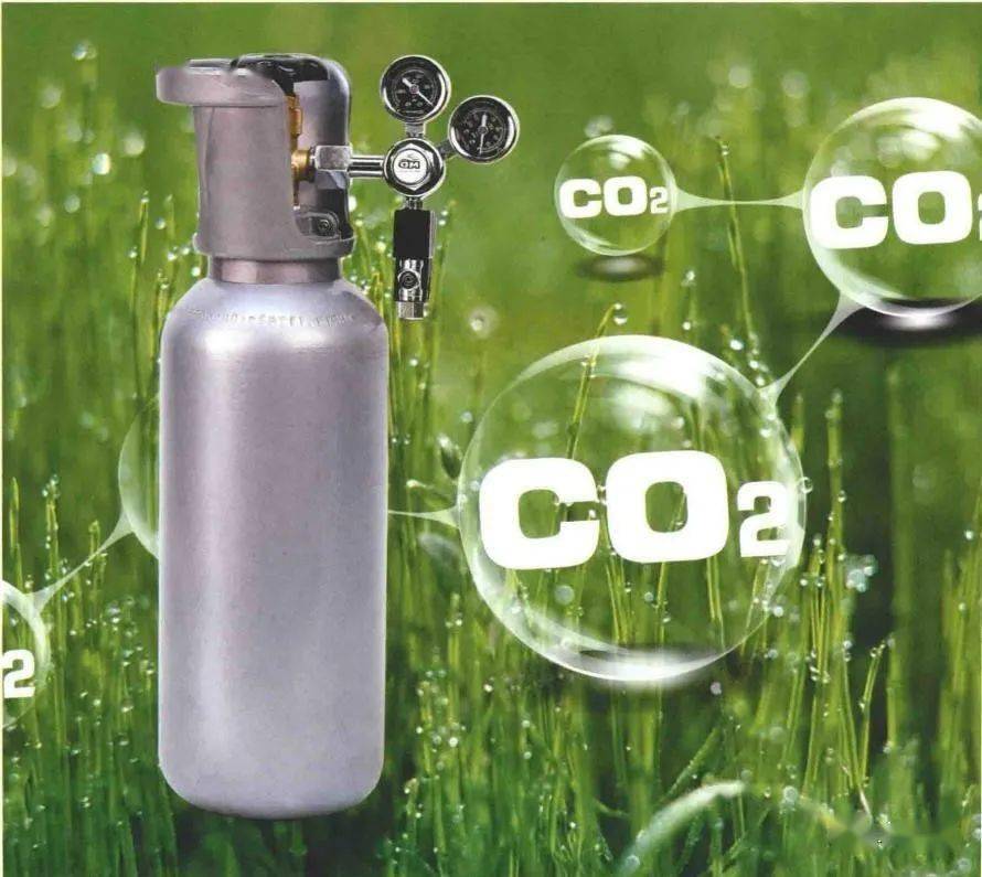 二氧化碳-13C (13C, 99%) (<2% 18O),CARBON DIOXIDE (13C, 99%) (<2% 18O)