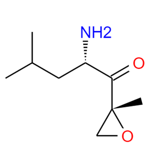 (2S)-2-氨基-4-甲基-1-((2R)-2-甲基环氧乙烷基)-1-戊酮三氟乙酸盐