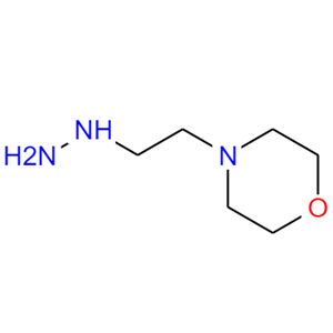(2-吗啉-4-乙基)-肼盐酸盐