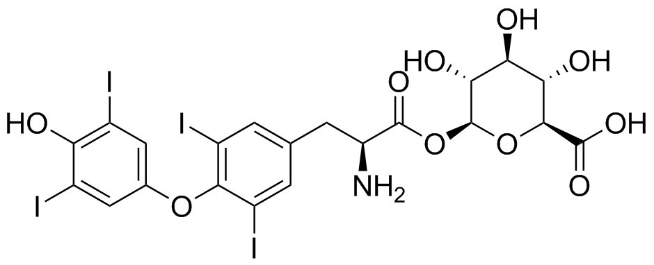 甲狀腺素酰基-β-D-葡萄糖醛酸,Thyroxine Acyl-β-D-Glucuronide