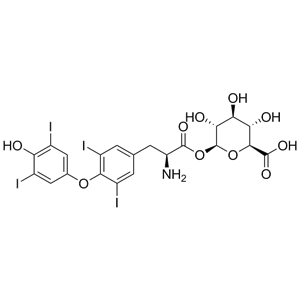 甲状腺素酰基-β-D-葡萄糖醛酸