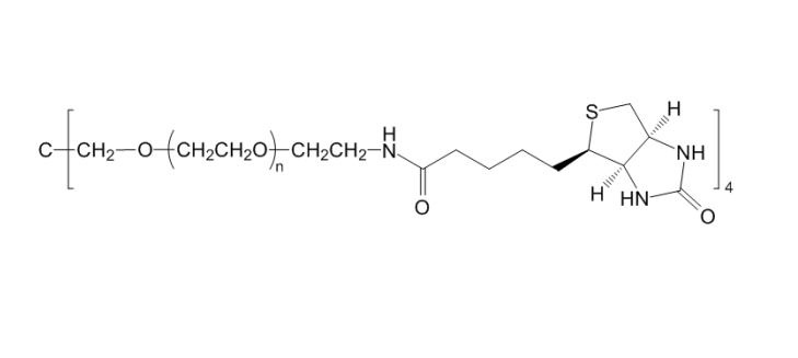 四臂聚乙二醇生物素,4-ArmPEG-Biotin