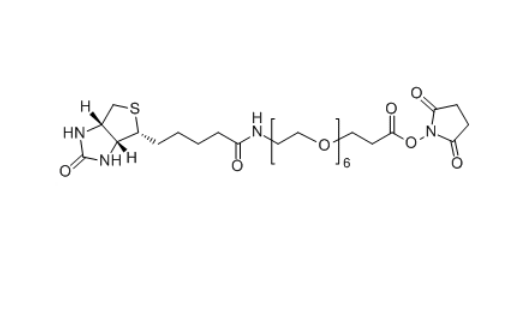 生物素-六聚乙二醇-琥珀酰亚胺酯,Biotin-PEG6-SPA