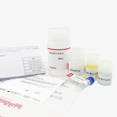 Lowry蛋白定量试剂盒,LOWRY Protein Quantification Kit