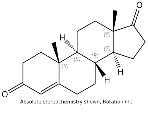 雄烯二酮,Androstenedione