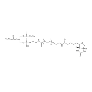 BIOTIN-PEG-DPPE 二棕榈酰磷酯酰乙醇胺-聚乙二醇-生物素