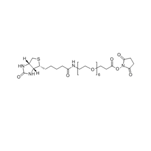 生物素-六聚乙二醇-琥珀酰亚胺酯,Biotin-PEG6-SPA