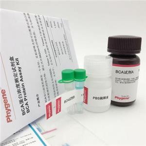 BCA蛋白濃度測定試劑盒,BCA Protein Quantification Kit