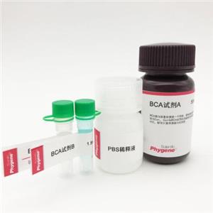 BCA蛋白浓度测定试剂盒,BCA Protein Quantification Kit