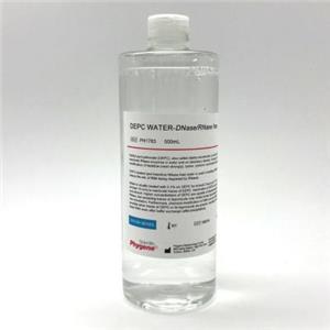 DEPC水,DEPC-TREATED WATER